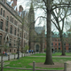 Illustration for article titled Yale Frat SAE Banned For Violating Sexual Misconduct Policy